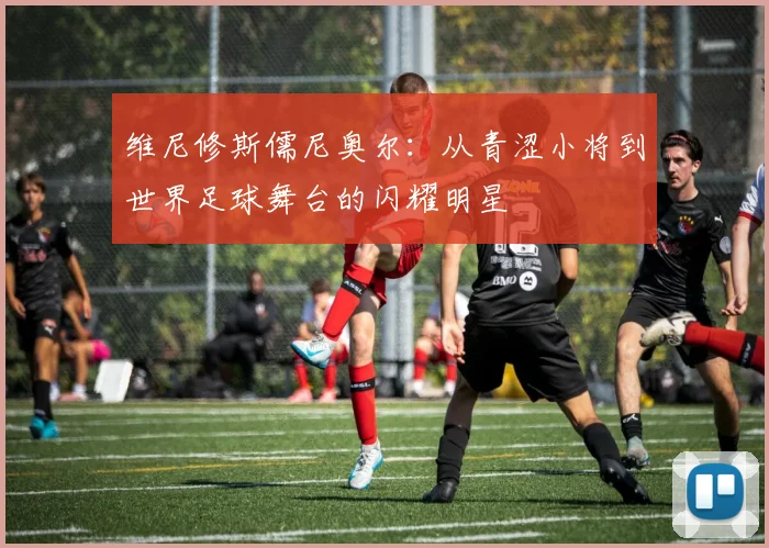 维尼修斯儒尼奥尔：从青涩小将到世界足球舞台的闪耀明星