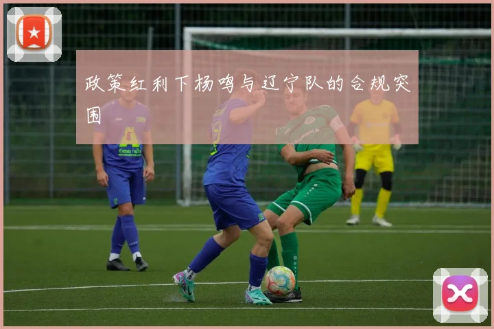 政策红利下杨鸣与辽宁队的合规突围